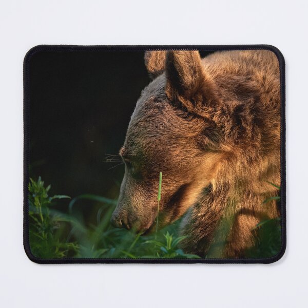 Item preview, "Light and Shadow III" designed and sold by Andreas Koerner.