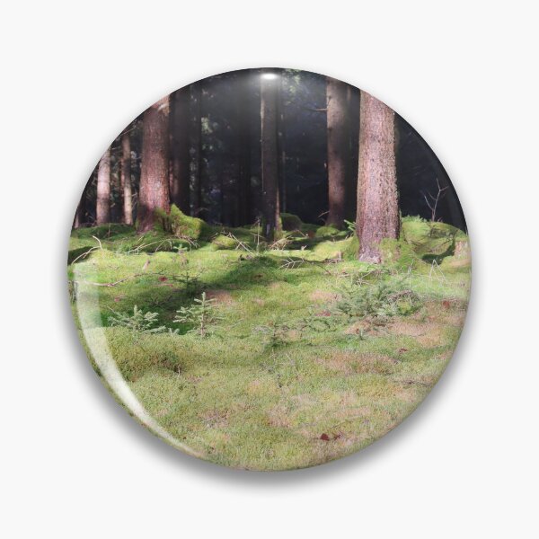 Aperçu de l'œuvre Forêt de conifères au soleil avec mousse créée et vendue par Pawsitive2Print.