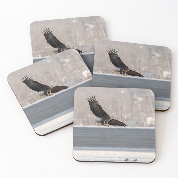 Item preview, Soaring eagle eating a fish designed and sold by KRFNatureGifts.