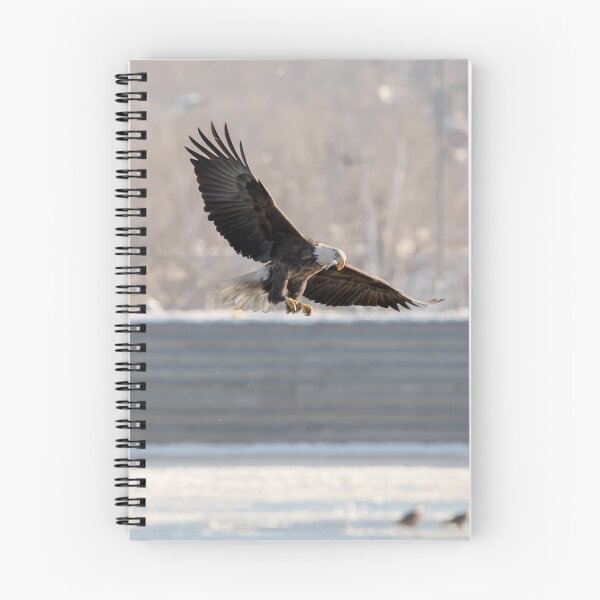 Item preview, Soaring eagle eating a fish designed and sold by KRFNatureGifts.