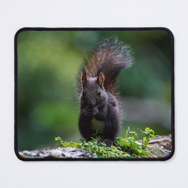 Item preview, "Goblin of the Forest I" designed and sold by Andreas Koerner.