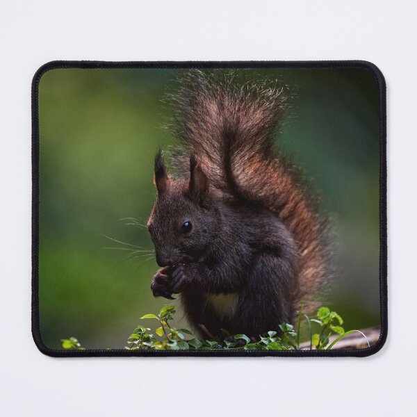 Item preview, "Goblin of the Forest III" designed and sold by Andreas Koerner.