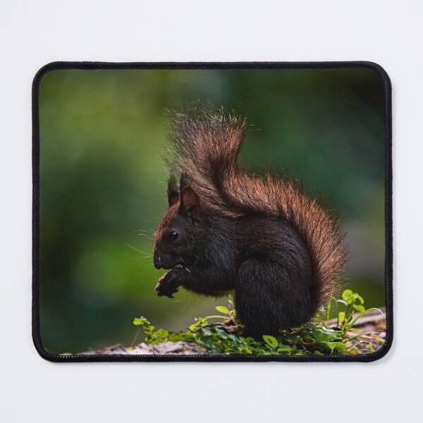 Item preview, "Goblin of the Forest IV" designed and sold by Andreas Koerner.