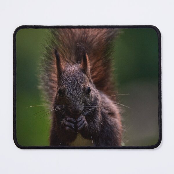 Item preview, "Goblin of the Forest V" designed and sold by Andreas Koerner.