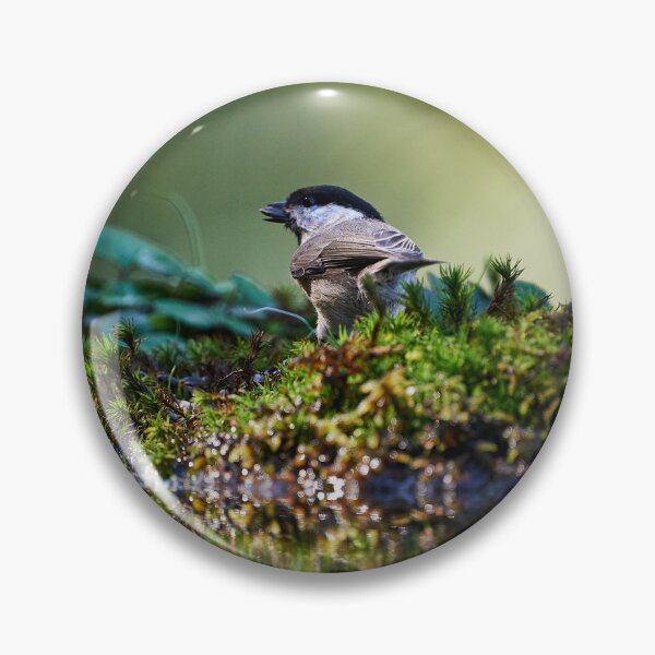 Item preview, "Coal Tit (Periparus ater)" designed and sold by Andreas Koerner.