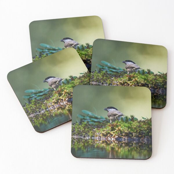 Item preview, "Coal Tit (Periparus ater)" designed and sold by Andreas Koerner.