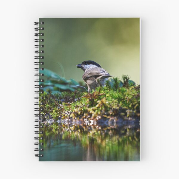 Item preview, "Coal Tit (Periparus ater)" designed and sold by Andreas Koerner.