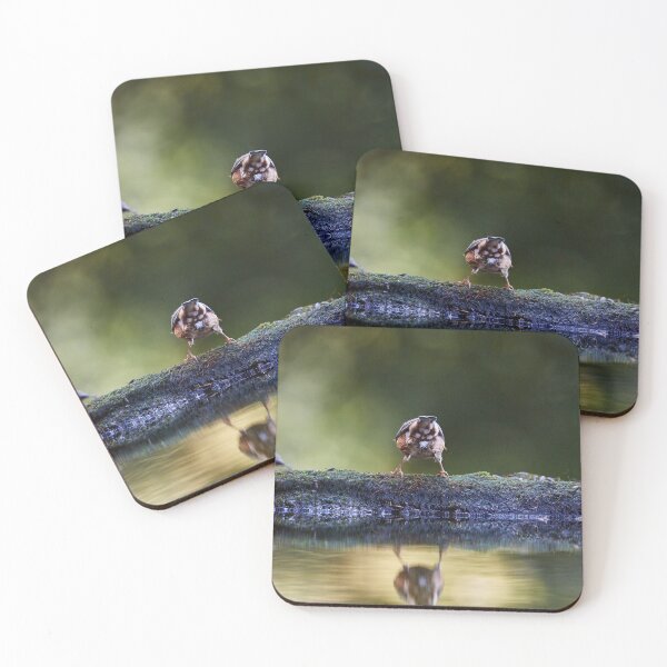 Item preview, "Backward Views" designed and sold by Andreas Koerner.