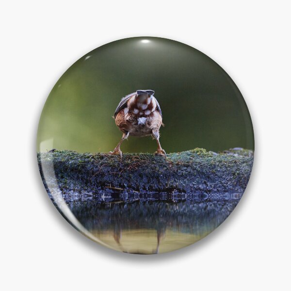 Item preview, "Backward Views" designed and sold by Andreas Koerner.