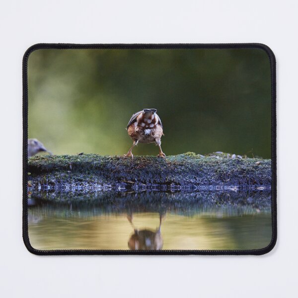 Item preview, "Backward Views" designed and sold by Andreas Koerner.