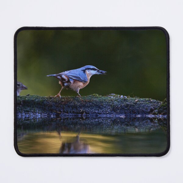 Item preview, "Foray" designed and sold by Andreas Koerner.