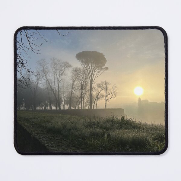 Item preview, foggy sun shine designed and sold by BreeFarinaPhoto.