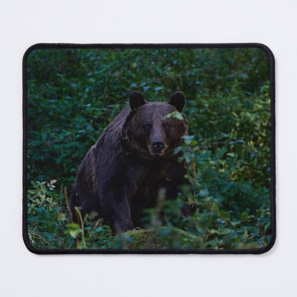 Item preview, "Light and Shadow IX" designed and sold by Andreas Koerner.