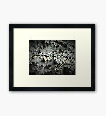 Gentle Spring Framed Print