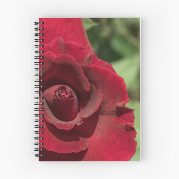 Item preview, Rosa designed and sold by ROSE ANN BANILAR.