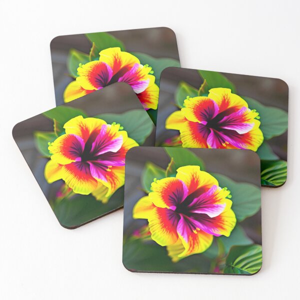 Item preview, Hibscuss Flowers designed and sold by Livingstream.