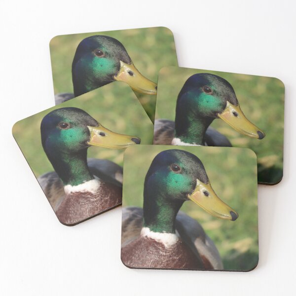 Item preview, Vibrant Mallard Duck designed and sold by mathilde3333.