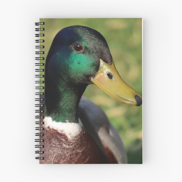 Item preview, Vibrant Mallard Duck designed and sold by mathilde3333.