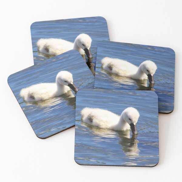 Item preview,  Mirrored Cygnet designed and sold by Alyce Taylor.