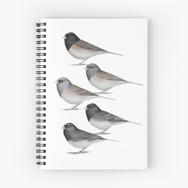 Item preview, Dark Eyed Junco. designed and sold by Bassabice.