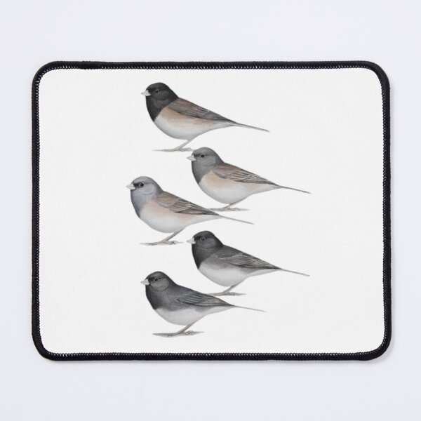 Item preview, Dark Eyed Junco. designed and sold by Bassabice.