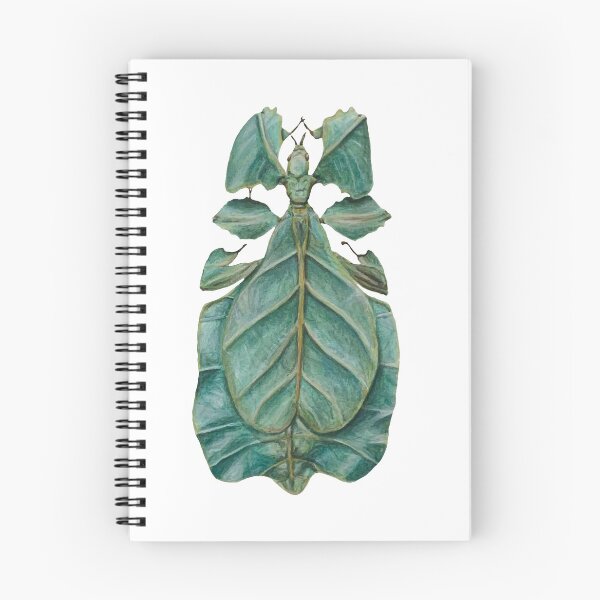 Item preview, leaf bug designed and sold by paintedpalette3.