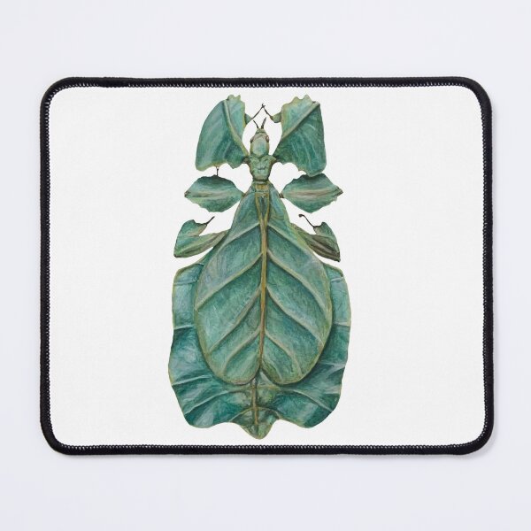 Item preview, leaf bug designed and sold by paintedpalette3.