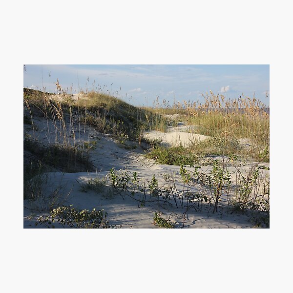 Item preview, Sunny Dunes designed and sold by Autumn Seas Photography.