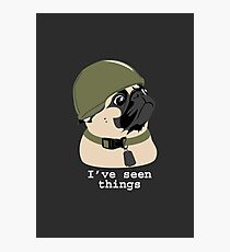 Pug of War Photographic Print