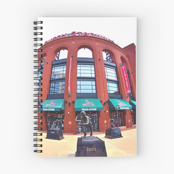 Item preview, Baseball Stadium designed and sold by LisaWootenPhoto.