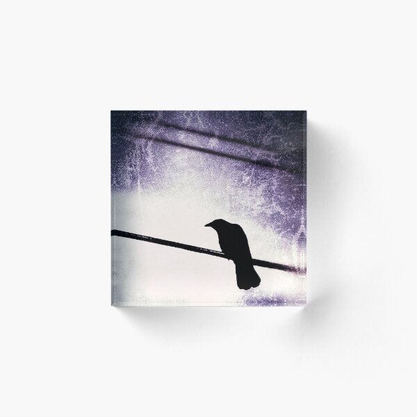 Goth Crow Acrylic Block