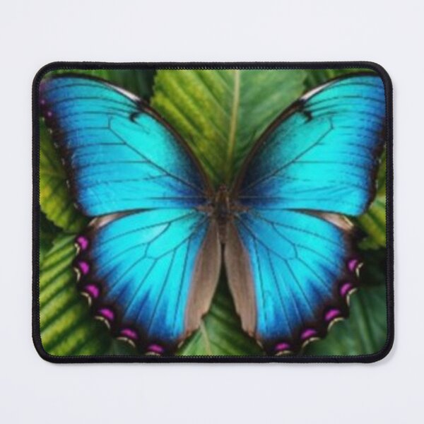 Item preview, Butterfly 15 designed and sold by ForwardMove.