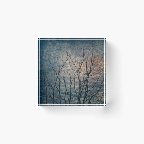 Item preview, Spooky Trees designed and sold by blakcirclegirl.