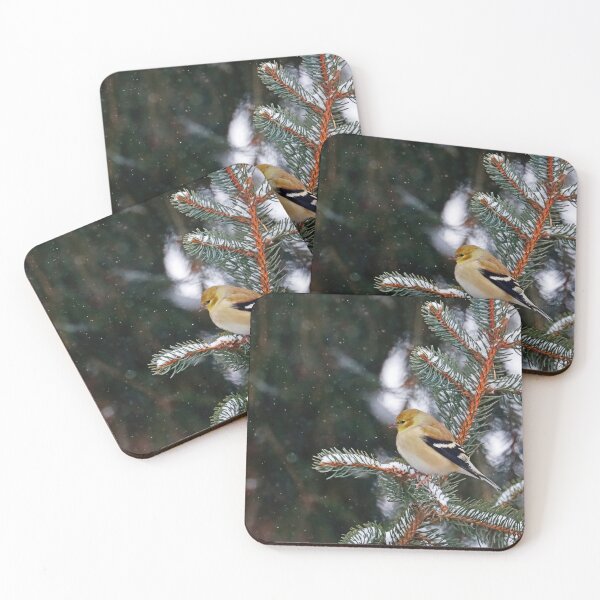 Item preview, Goldfinch Keeping Warm In Winter designed and sold by Deb Oppermann.