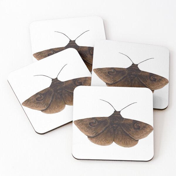 Item preview, owlet moth designed and sold by paintedpalette3.
