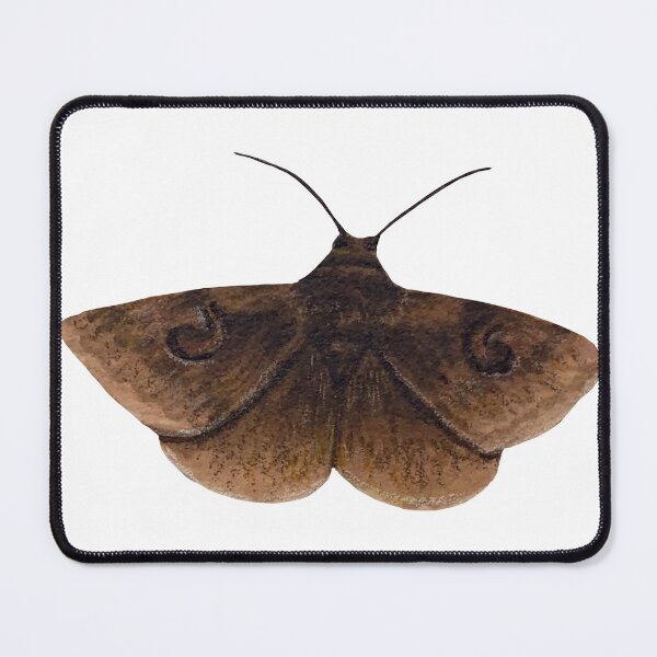 Item preview, owlet moth designed and sold by paintedpalette3.