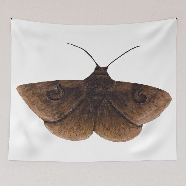 Item preview, owlet moth designed and sold by paintedpalette3.