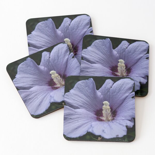 Item preview, The purple hibiscus (Hibiscus rosa-sinensis) designed and sold by Lacey Schmidt.