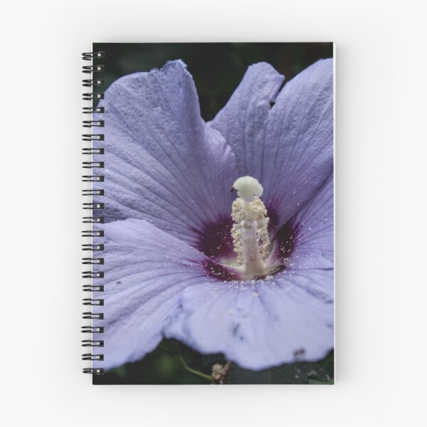Item preview, The purple hibiscus (Hibiscus rosa-sinensis) designed and sold by Lacey Schmidt.