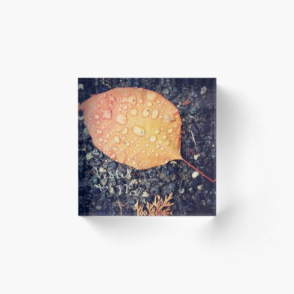 Untitled Acrylic Block