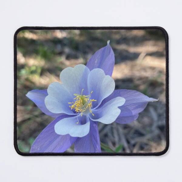 Item preview, Blue Columbine Wildflower designed and sold by aspiritualgirl.