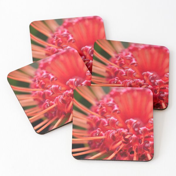 Item preview, Around the Fire in Magenta Pink - Botanical Photography - Original Abstract Fine Art designed and sold by SageFolio.