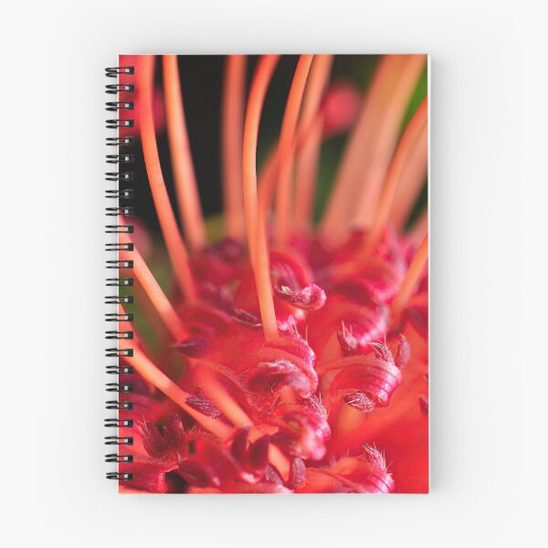 Item preview, Around the Fire in Magenta Pink - Botanical Photography - Original Abstract Fine Art designed and sold by SageFolio.