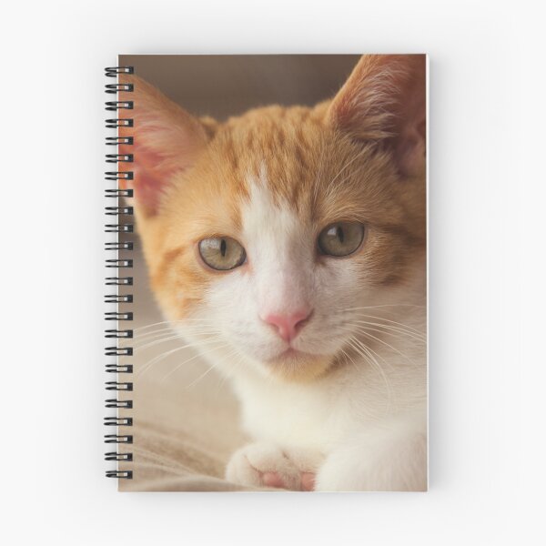 Item preview, Ginger Kitten designed and sold by Unique-Hungry.