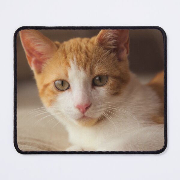 Item preview, Ginger Kitten designed and sold by Unique-Hungry.