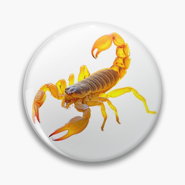 Item preview, Scorpion designed and sold by toaderbogdan88.