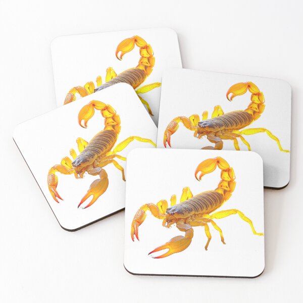 Item preview, Scorpion designed and sold by toaderbogdan88.