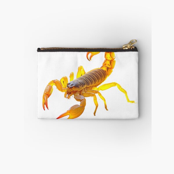Item preview, Scorpion designed and sold by toaderbogdan88.