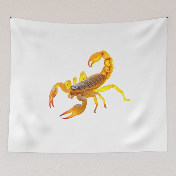 Item preview, Scorpion designed and sold by toaderbogdan88.