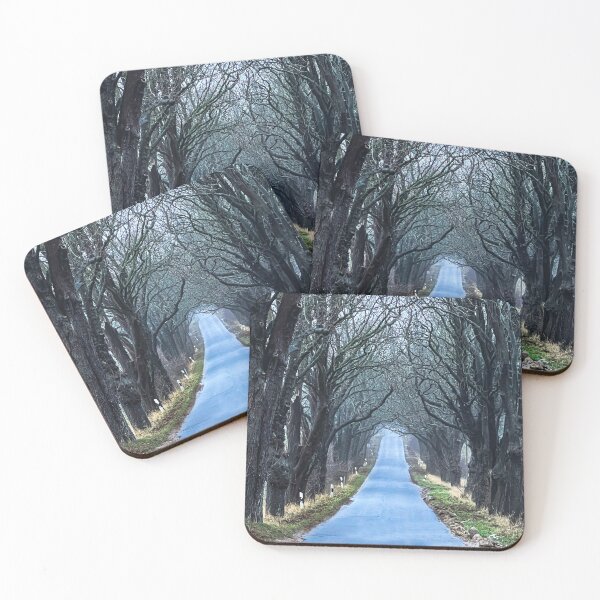 Item preview, Tree-line alley on Rügen Island, Germany designed and sold by Michael Brewer.
